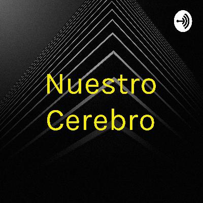 Nuestro cerebro