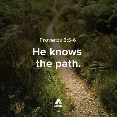 Straight Paths Straight Paths