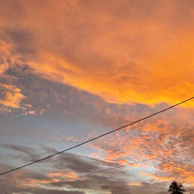 Mardi 10 Juillet 2021 Mardi 10 Juillet 2021