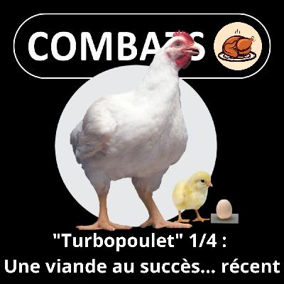 S05E63 Le "Turbopoulet" 1/4 : Un succès mondial... récent (Axelle Playoust-Braure)