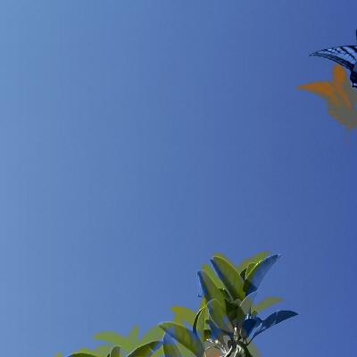 ¿Cómo empezar a autorregular mis emociones?