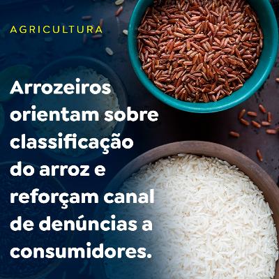Arrozeiros orientam sobre classificação do arroz e reforçam canal de denúncias a consumidores