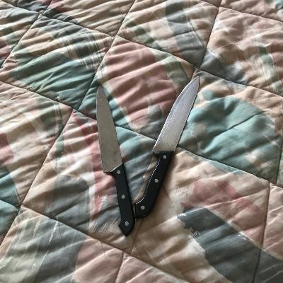 Por qué dejamos la vida de campo (una tragedia)