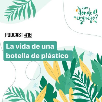 La vida de una botella de plástico