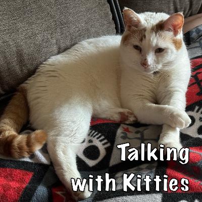 Six Inches of Survival Six Inches of Survival