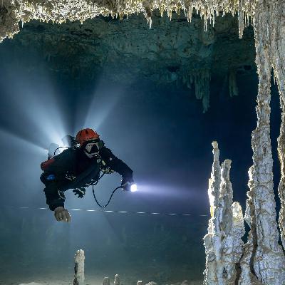 Mexikos mystische Unterwasserhöhlen - Der Hammerhai im Binnensee Mexikos mystische Unterwasserhöhlen - Der Hammerhai im Binnensee