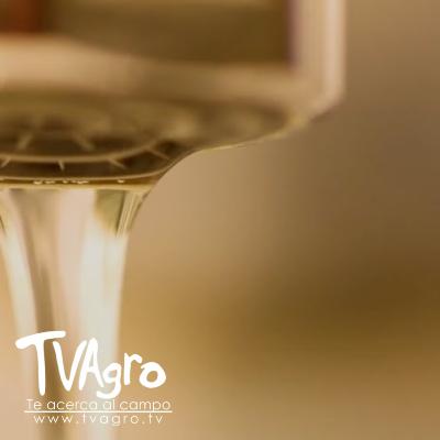 ¿Cómo evitar el desperdicio de agua Racionamientos y soluciones - TvAgro por Juan Gonzalo Angel ¿Cómo evitar el desperdicio de agua Racionamientos y soluciones - TvAgro por Juan Gonzalo Angel