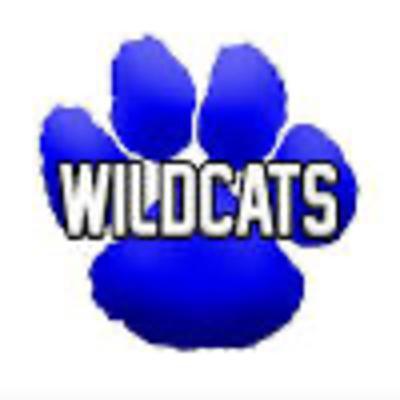 Wildcat Weekly 1