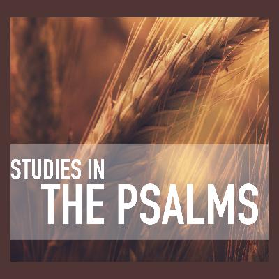 Studies in the Psalms: "A Community Built On Prevailing Love" | Psalm 117