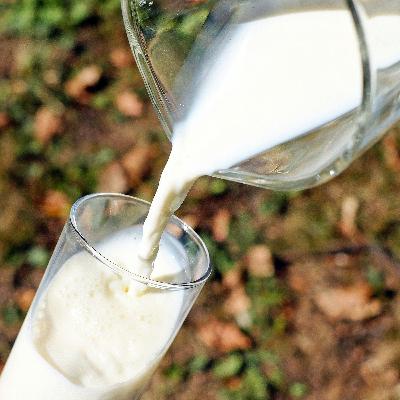 Plastic Made from Milk Plastic Made from Milk