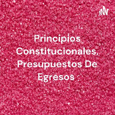 Principios constitucionales presupuestos de egresos