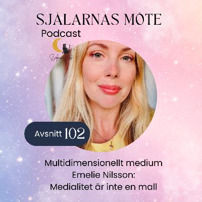 102. Multidimensionellt medium Emelie Nilsson: Medialitet är inte en mall