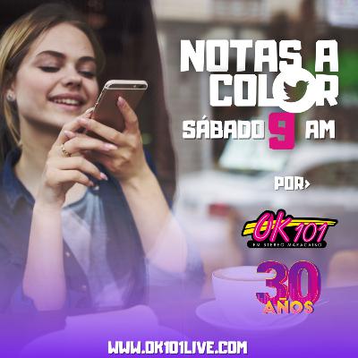Fin de año (Programa #38)