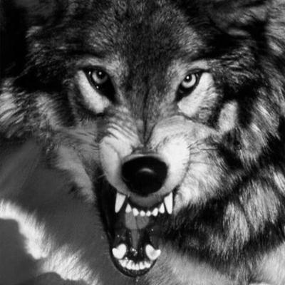 Episódio#2 A iniciação Episódio#2 A iniciação