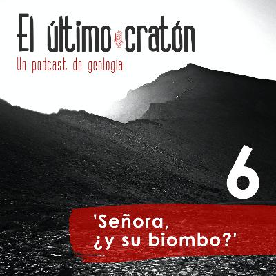 'Señora, ¿y su biombo?' 'Señora, ¿y su biombo?'