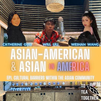 #16 (Asian-American & Asian in America)– Cultural Barriers Within The Asian Community with Catherine Guo and Weihan Wang #16 (Asian-American & Asian in America)– Cultural Barriers Within The Asian Community with Catherine Guo and Weihan Wang