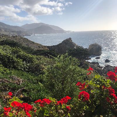 Got interrupted on the last episode ☺️