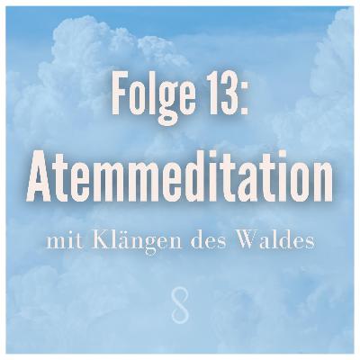 Folge 13: Atemmeditation mit Klängen des Waldes Folge 13: Atemmeditation mit Klängen des Waldes