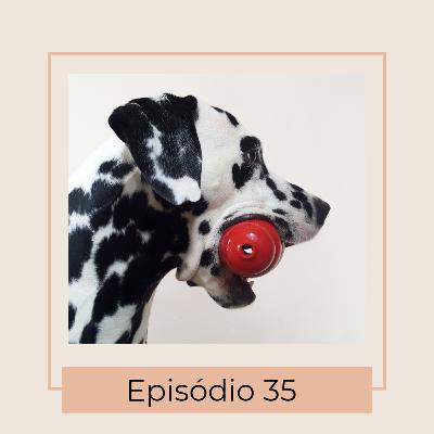 Brinquedos para rechear. Pra que serve isso?