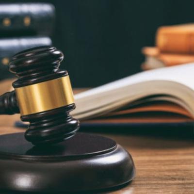 El estado y sus elementos