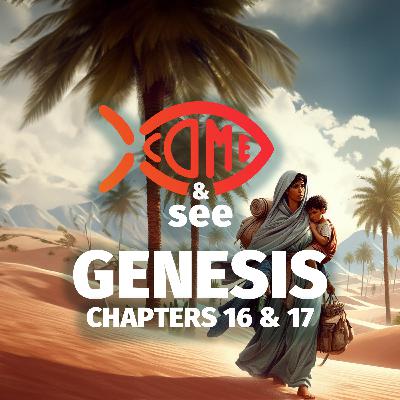 Genesis 16 & 17: Sarai, Hagar and God’s Justice Genesis 16 & 17: Sarai, Hagar and God’s Justice
