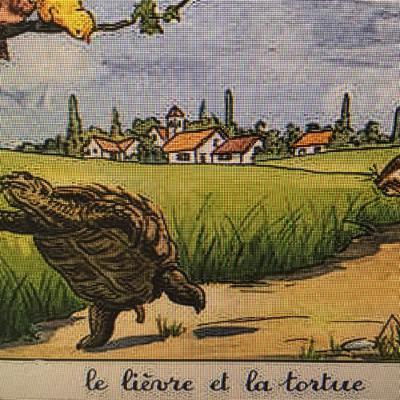 Le lièvre et la tortue
