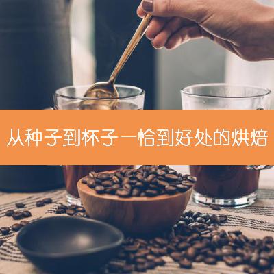 13 从种子到杯子—恰到好处的烘焙