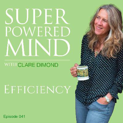 041 Efficiency