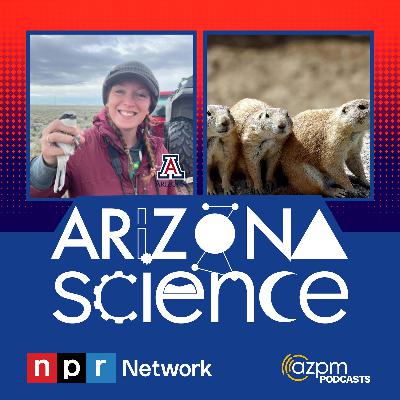 Turning to wildlife to stop the spread of wildfires