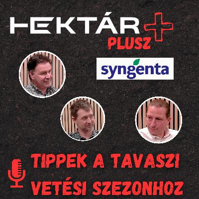 Vessünk vagy ne vessünk tavasszal? - Vetési tippek a talajműveléstől a tápanyagon át a vetőmagig... (HEKTÁR Plusz)
