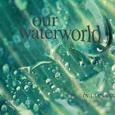 Our Water World