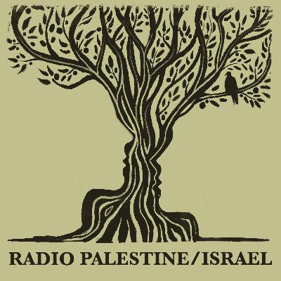 Interview with Journalist Rajaa Natour