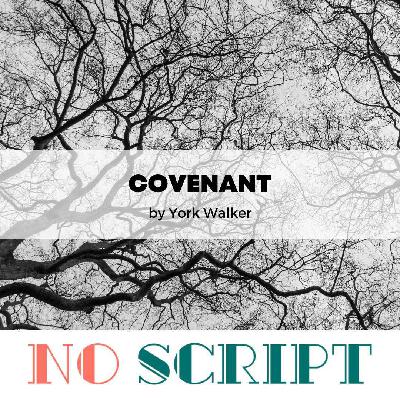 "Covenant" by York Walker | S14.E10