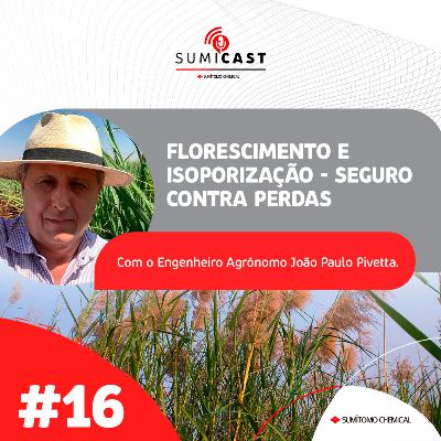 #16 - Florescimento e isoporização #16 - Florescimento e isoporização