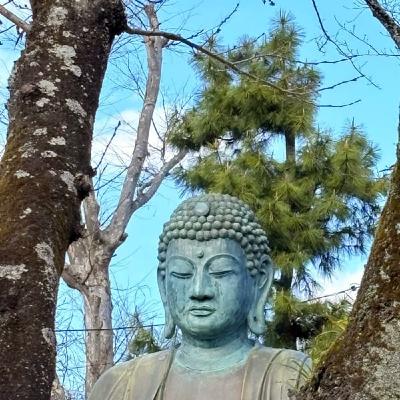 海王星牡羊座入りの事と家相学3回目の講座に行ったこと喋った