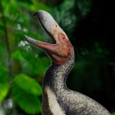 Aves do Terror: Predadores vorazes com mais de 2 metros de altura