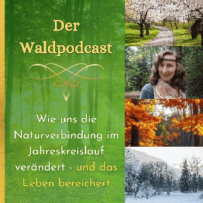 Wie uns die Naturverbindung im Jahreskreislauf verändert - und das Leben bereichert Wie uns die Naturverbindung im Jahreskreislauf verändert - und das Leben bereichert