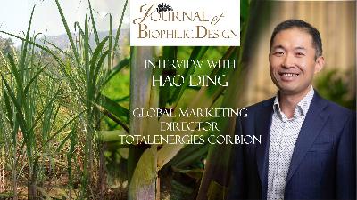 Roots to Renders - Sugarcane's Journey into Creative Design