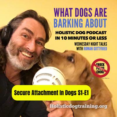 Attachment In Dogs