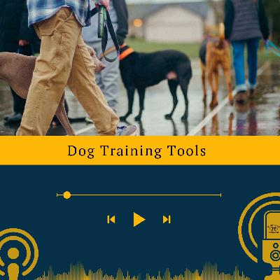 Dog Training Tools Chapter 3 Dog Training Tools Chapter 3