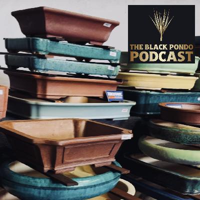 #24 Nao Tokutake of Tokutake Bonsai #24 Nao Tokutake of Tokutake Bonsai