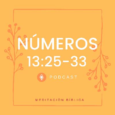 Números 13:25-33