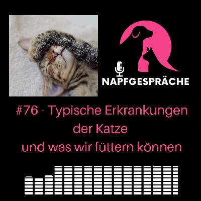 #76 - Typische Erkrankungen der Katze und was wir füttern können