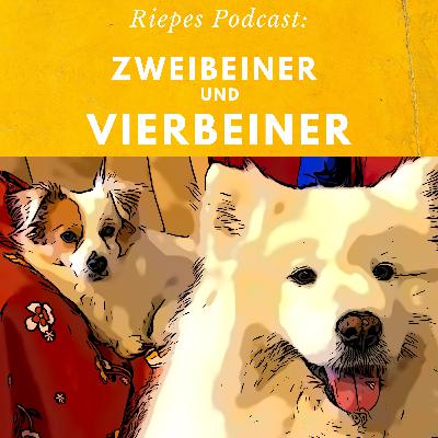 Hundetraining. Wieviel ist richtig?