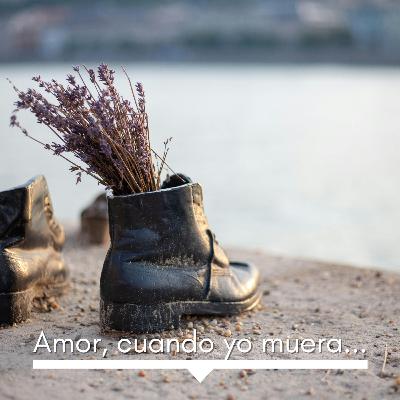 Amor, cuando yo muera... - Aquiles Nazoa