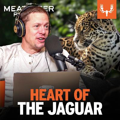 Ep. 796: Heart of the Jaguar Ep. 796: Heart of the Jaguar