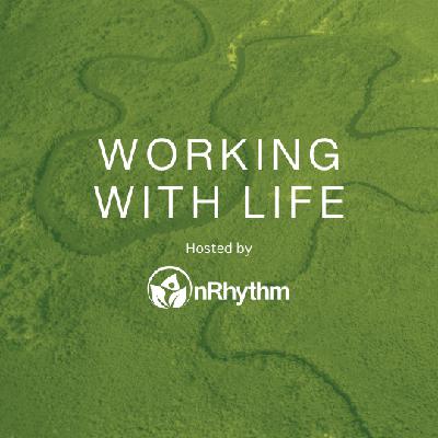 How We Built the With Life Approach with Jeff Su & Tre’ Cates