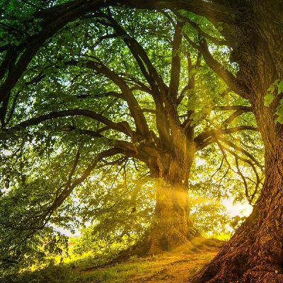 #S2-2025-E17:Trouver l'équilibre à la rentrée