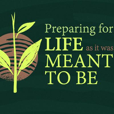 Week 4: Introduction: How To Make It Through Life Week 4: Introduction: How To Make It Through Life