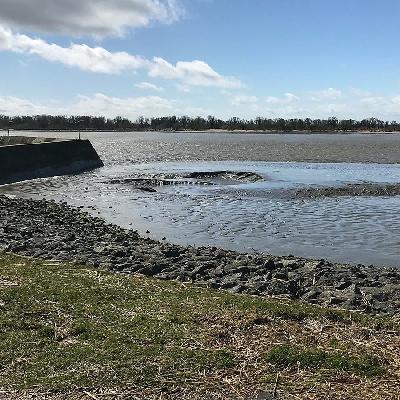Elbvertiefung – Was macht das mit dem Ökosystem Fluss?